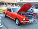 1983 Ford Bronco - beautiful Mustang...