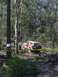 1982 Ford Bronco - An off-road vehicle is shown on a trail, marked by caution tape, within a dense forest environment.