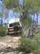 1982 Ford Bronco - Ford Bronco navigates a challenging rocky trail surrounded by trees.