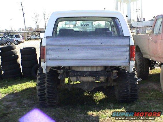 82-bronco-ii.jpg 