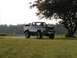1994 Ford Bronco - This lifted Ford Bronco is parked on a road with a tree and grassy field in the background.
