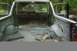 1984 Ford Bronco - Ripping out the carpet and getting ready to install the Herculiner.