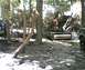 1985 Ford Bronco - A 1980s Ford Bronco is seen in a wooded area with other vehicles and debris.