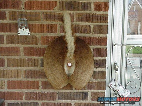 Redneck Doorbell