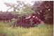 1988 Ford Bronco - me getting 10ft of air with 31 inch tires soon replaced leaf springs bounced about 3ft after landing did it 3 times in…