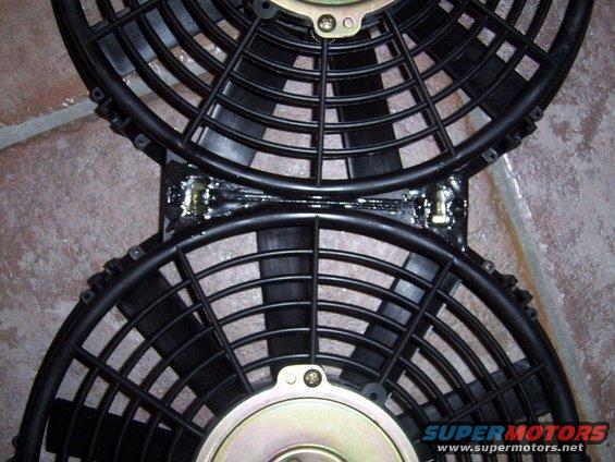 dcp_0003.jpg Conjoined twin 10" fans