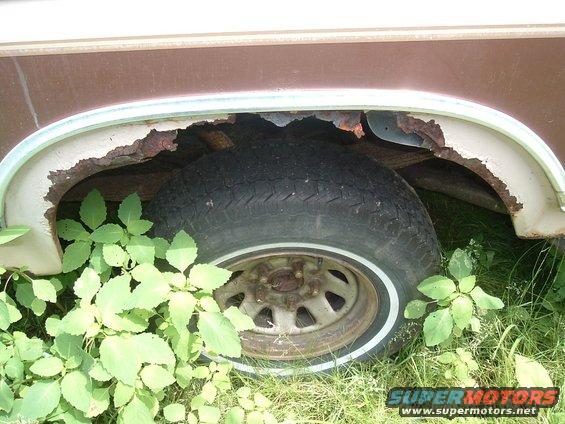 rear wheel well with heavy rust and weeds growing around it
