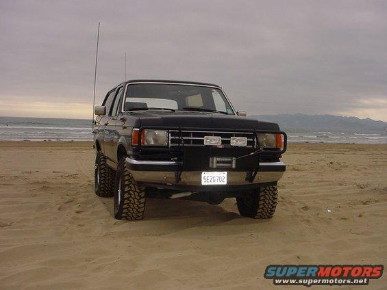 Bronco posing