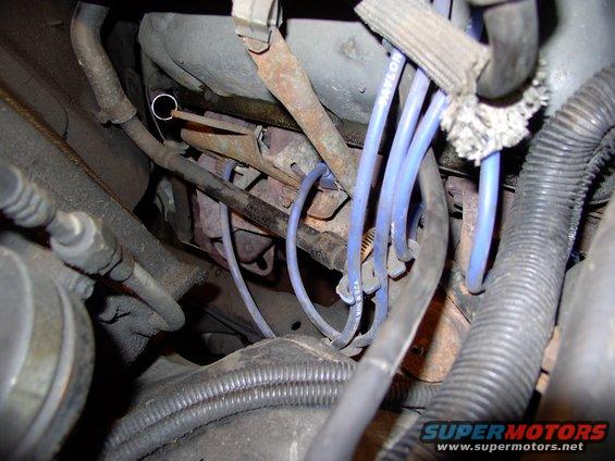 img_0501.jpg Nobody can tell this 86er that shorties are more difficult to work on/access plugs than the stock 85-86 manifolds!