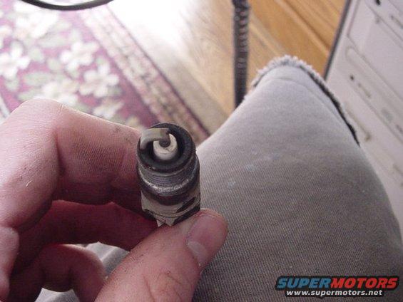 sparkplug-002.jpg uhoh