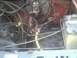 1985 Ford Bronco - Close-up view of a vehicle's engine bay, showing various hoses and electrical wiring.
