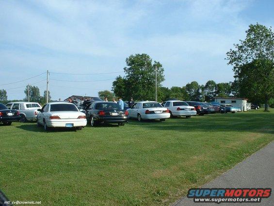 Several Ford Crown Victorias parked on grass, some appear to be police vehicles