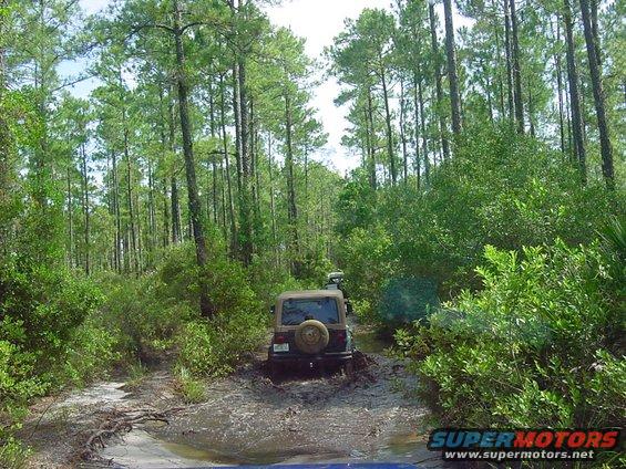 Jeep Wrangler driving through mud on a wooded trail. Another vehicle is visible ahead