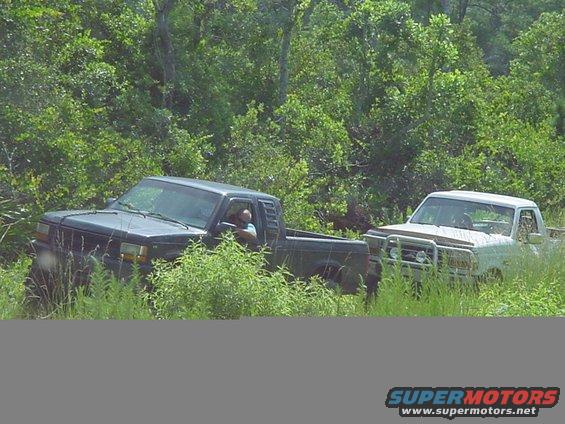 Dark pickup truck with a driver, and a white pickup truck with a bull bar, partially obscured by foliage