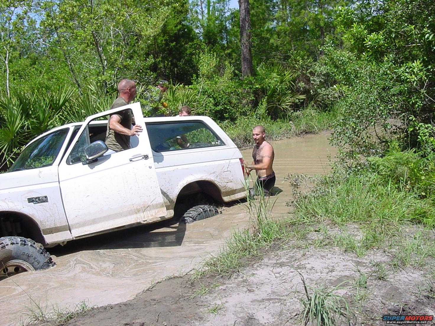 1986 Ford Bronco photo