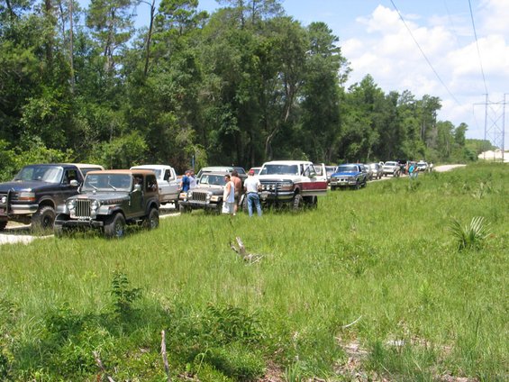 Line of trucks and SUVs on a dirt road, some with lifted suspensions, in a grassy, wooded area