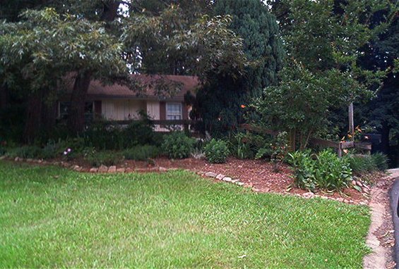 houses-day-1-035.jpg outside front yard