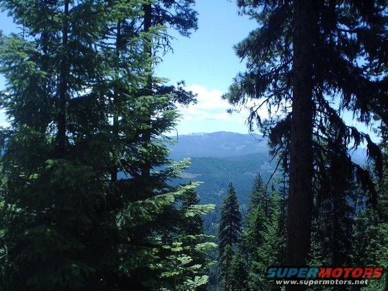 view of mountains and trees under a blue sky