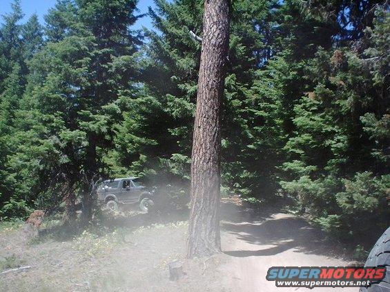 Gray 1978 Ford Bronco driving on a dusty dirt road through trees