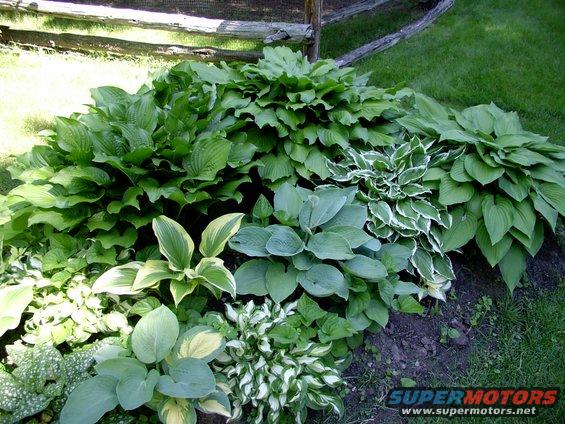 img_0428.jpg Even better