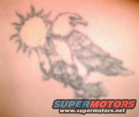 back right shoulder