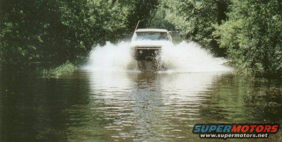 barkbronco3.jpg Wave makin'!