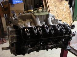 453239_19.jpg Got a 302 My Dawg Can Snack on?