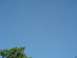 1979 Ford Bronco - Daytime sky with the moon and a tree. Supermotors.net logo is visible.