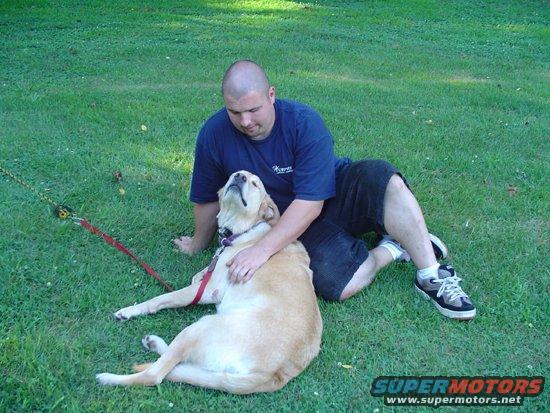 Man sitting on grass petting a yellow lab dog