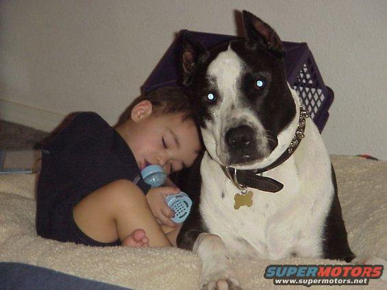 Child sleeping with a pacifier, resting head on a dog