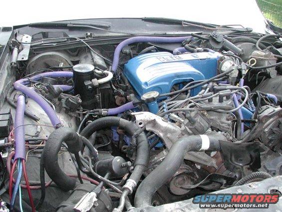 Engine bay with blue valve covers and purple hoses. Wires are visible
