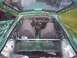 1995 Ford Probe