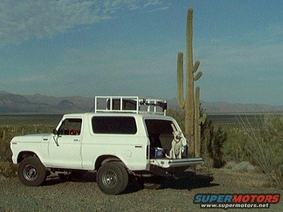 White SUV parked in desert with saguaro cactus. Dog sits in open tailgate