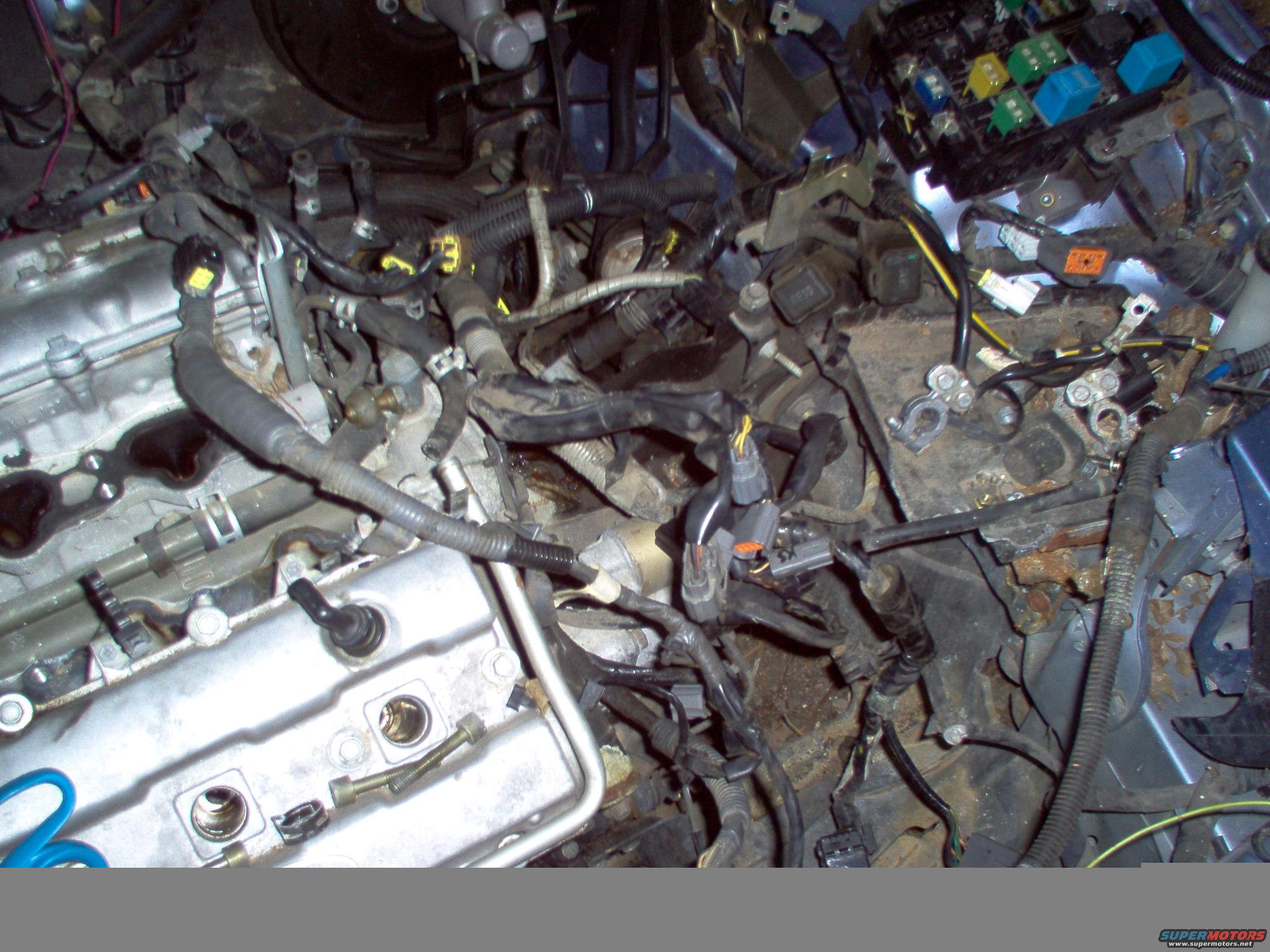 engine bays