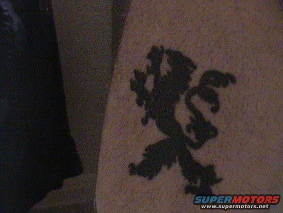 imga0142.jpg left leg