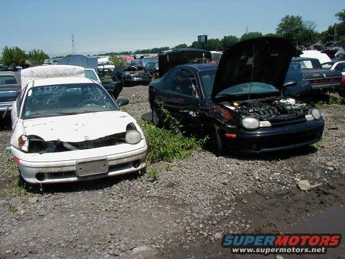 Two junkyard cars, a white Dodge Neon with a damaged front end and a black Dodge Neon with its hood open
