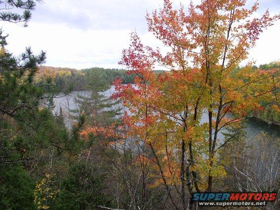 Autumn trees with red and yellow leaves overlook a calm lake and dense forest