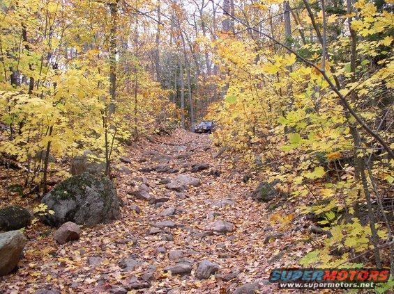 Dark SUV on a leaf-covered, rocky forest trail during autumn