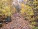 1980 Ford F-100 - A dark SUV navigates a challenging, rocky path through a forest ablaze with autumn colors.
