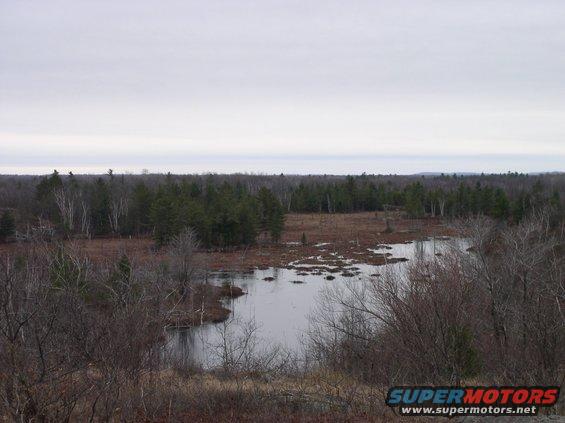 overcast sky over a marshy area with trees and water