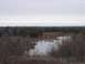 1980 Ford F-100 - A wide view of a marshy landscape under a cloudy sky, with trees in the background.