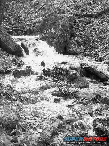Forest stream flowing over rocks and fallen leaves in black and white