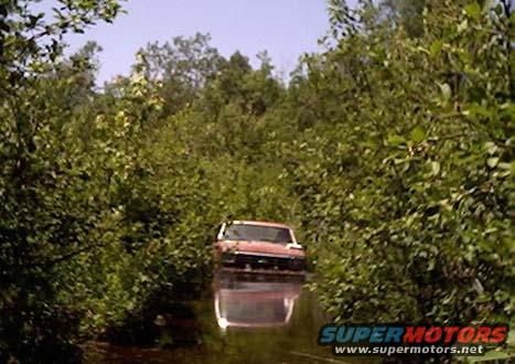 1980 Ford F-100 driving through shallow water surrounded by dense trees