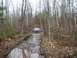 1980 Ford F-100 - A truck navigates a water-filled, muddy path surrounded by trees.