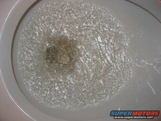 toilet bowl with water swirling down drain