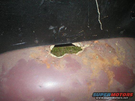 p7090001.jpg Driver side wheelwell.