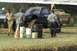 1989 Ford Bronco photo