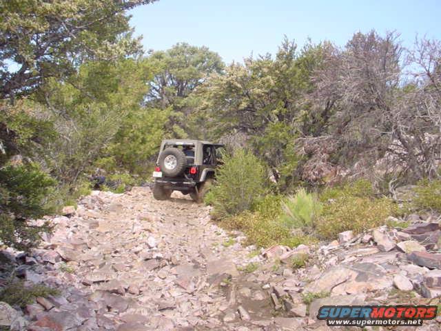 Jeep Wrangler driving up a rough, rocky path through trees
