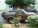 1982 Ford Bronco