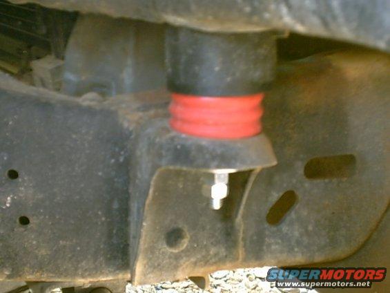 Daystar polybushings (RED) with 2" body lift from Performance Connection.